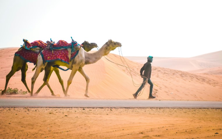 Rajasthan