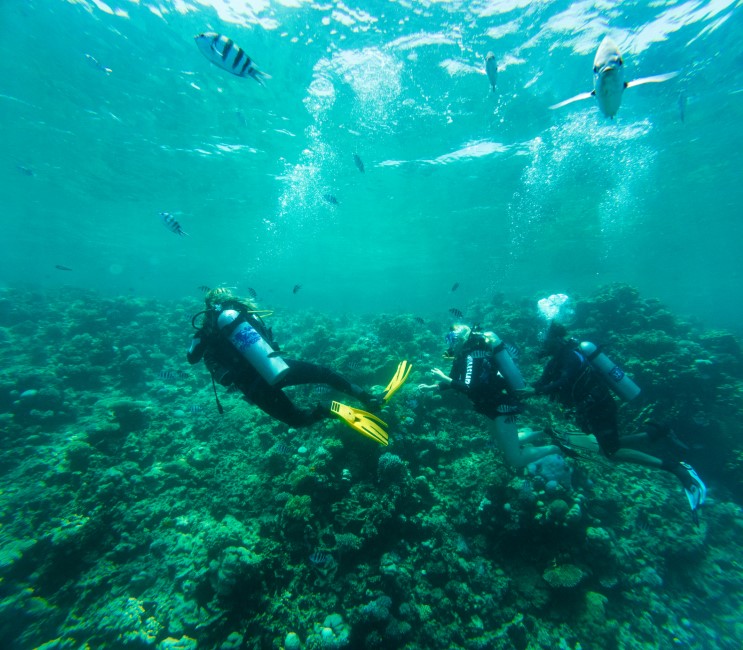 Adventure Activities in Krabi
