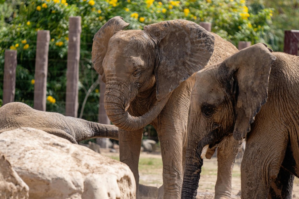 Kid-friendly Spots in Dubai