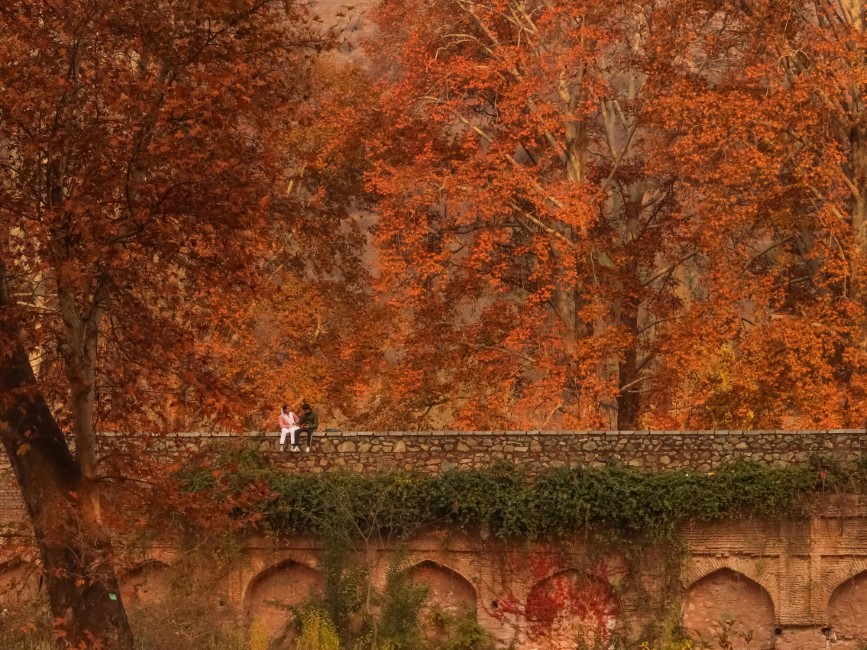 Best Time to Visit Kashmir