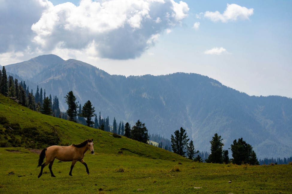 Adventure Activities in Srinagar