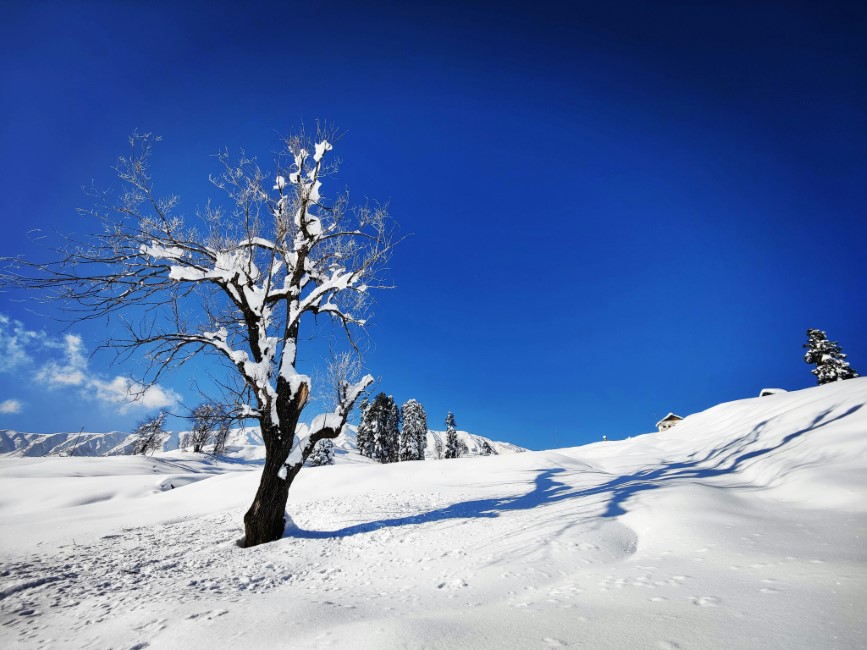 Kid-friendly Spots in Gulmarg