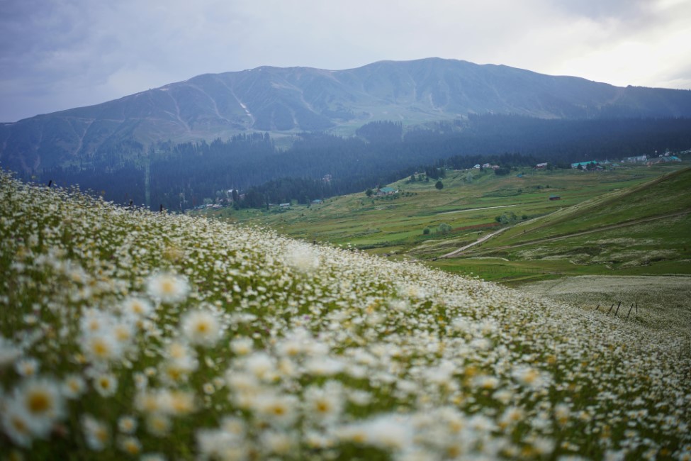 Romantic Spots in Sonamarg