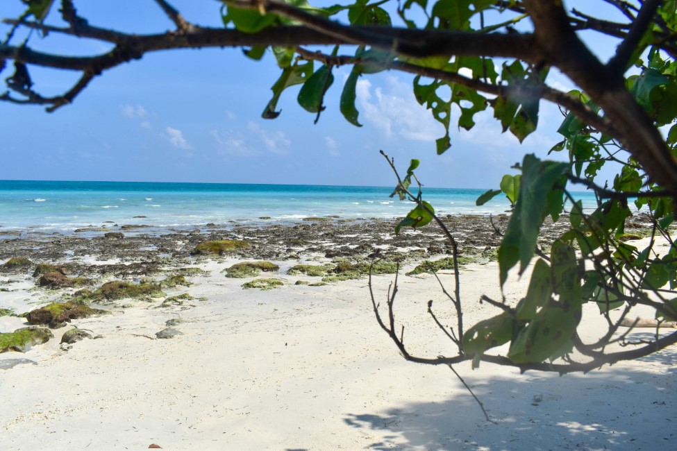 Adventure Activities in Havelock Island