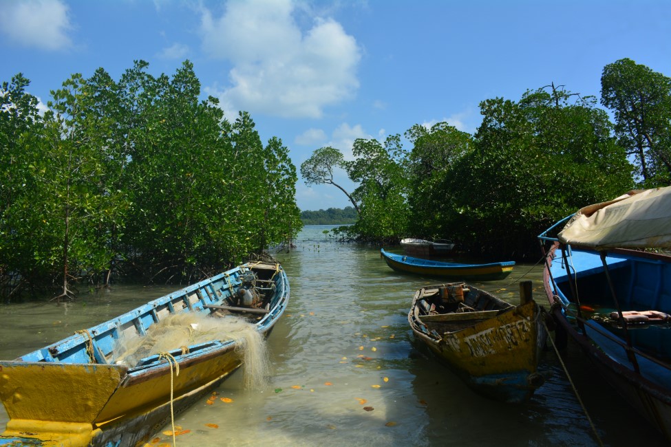 Most Popular Attractions in Havelock Island