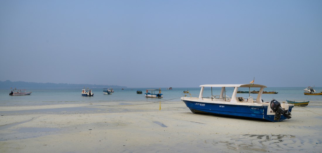 Local Markets & Street Food Spots in Havelock Island