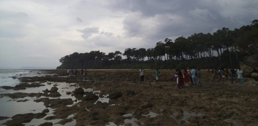Local Markets & Street Food Spots in Neil Island