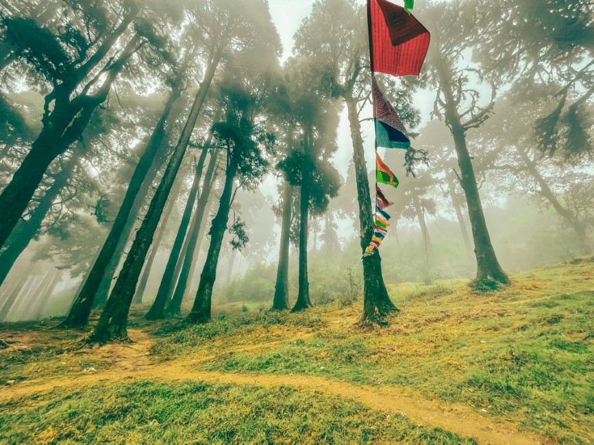 Most Popular Attractions in Darjeeling
