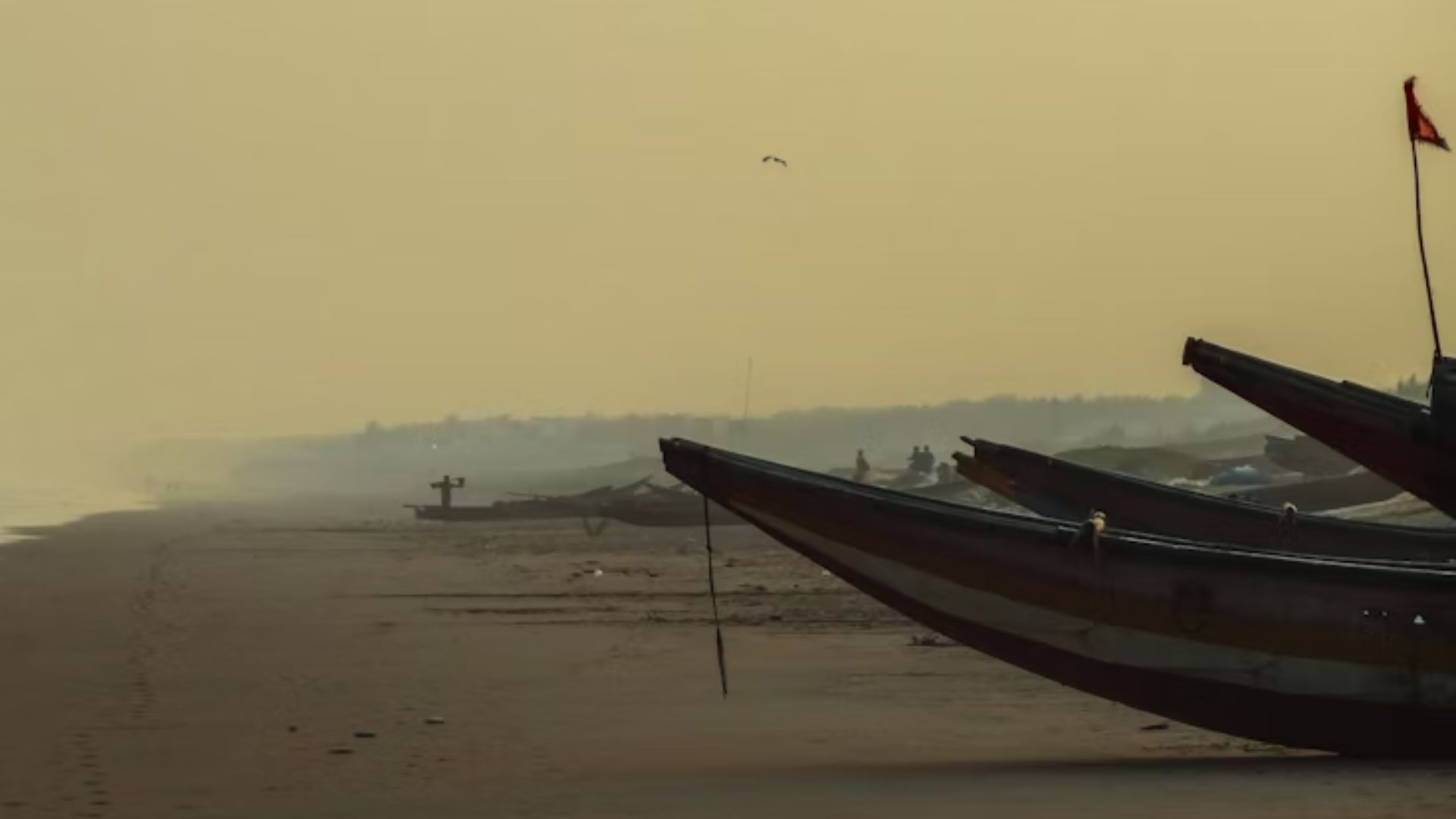 Must-have Experiences in Gopalpur