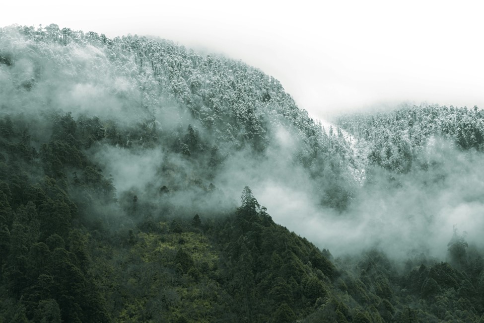 Most Popular Attractions in Lachung