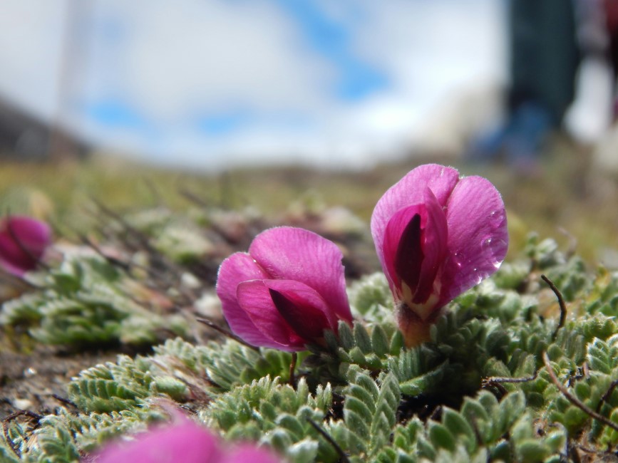 Romantic Spots in Lachung