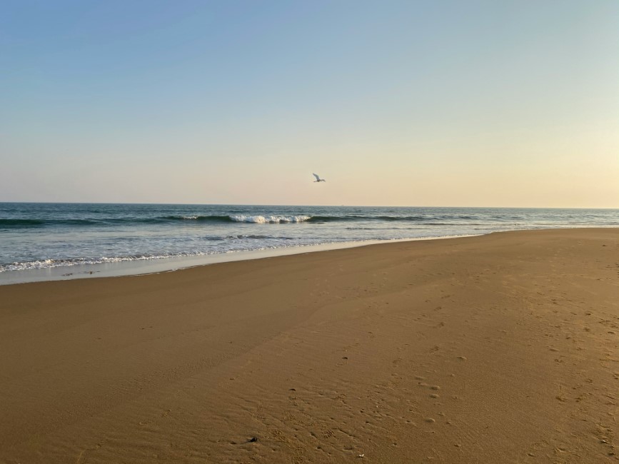 Must-have Experiences in Puri