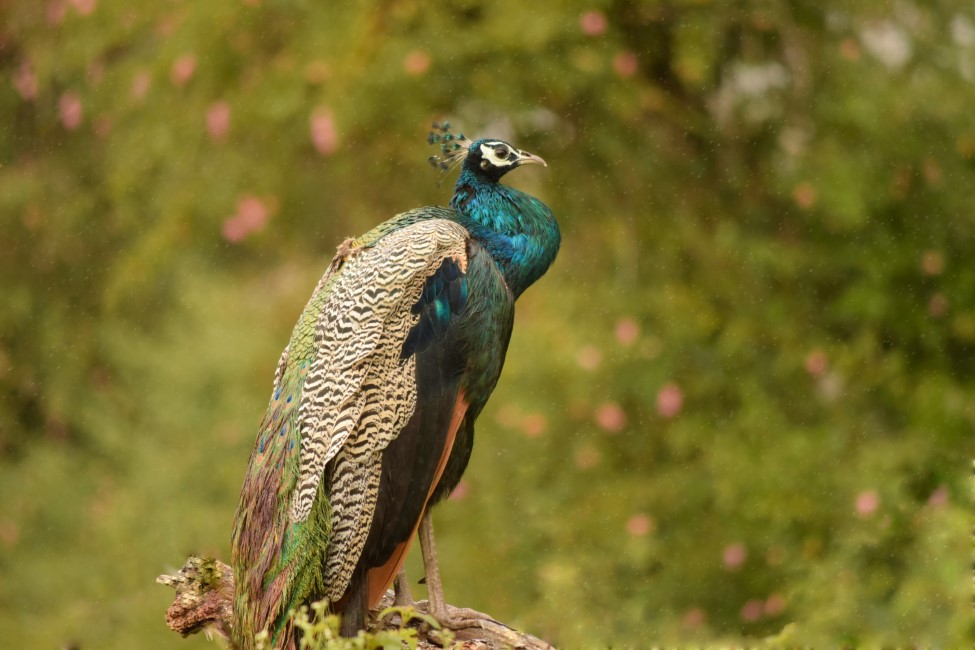 Adventure Activities in Mysore