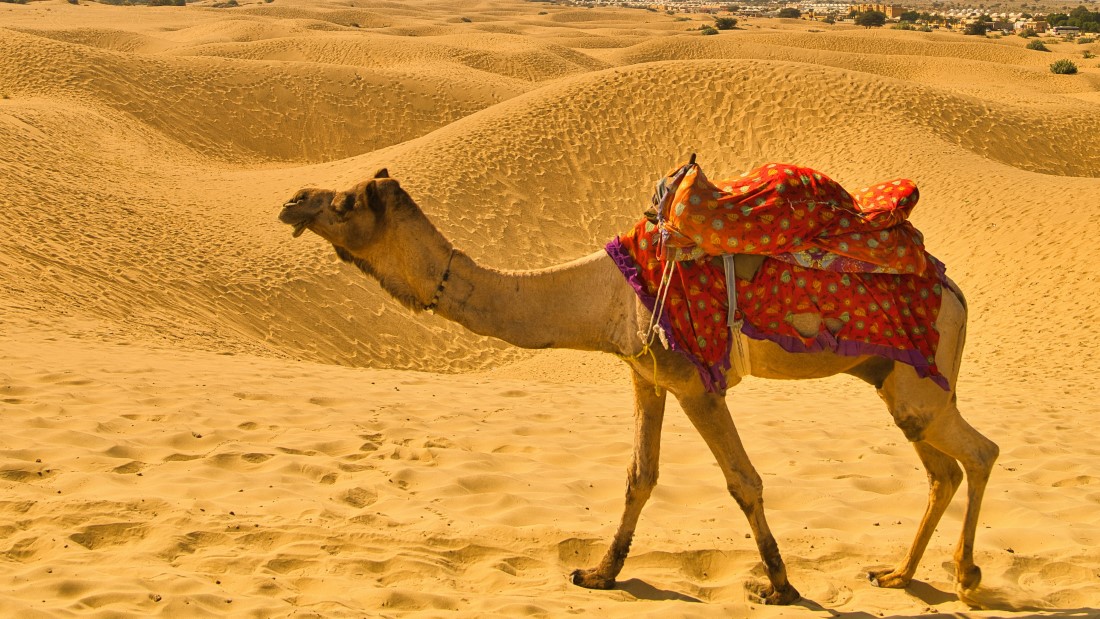 Adventure Activities in Jaipur