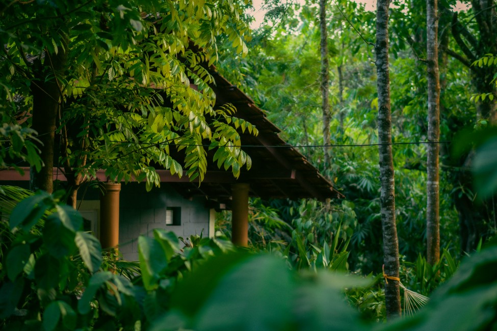 Must-have Experiences in Coorg