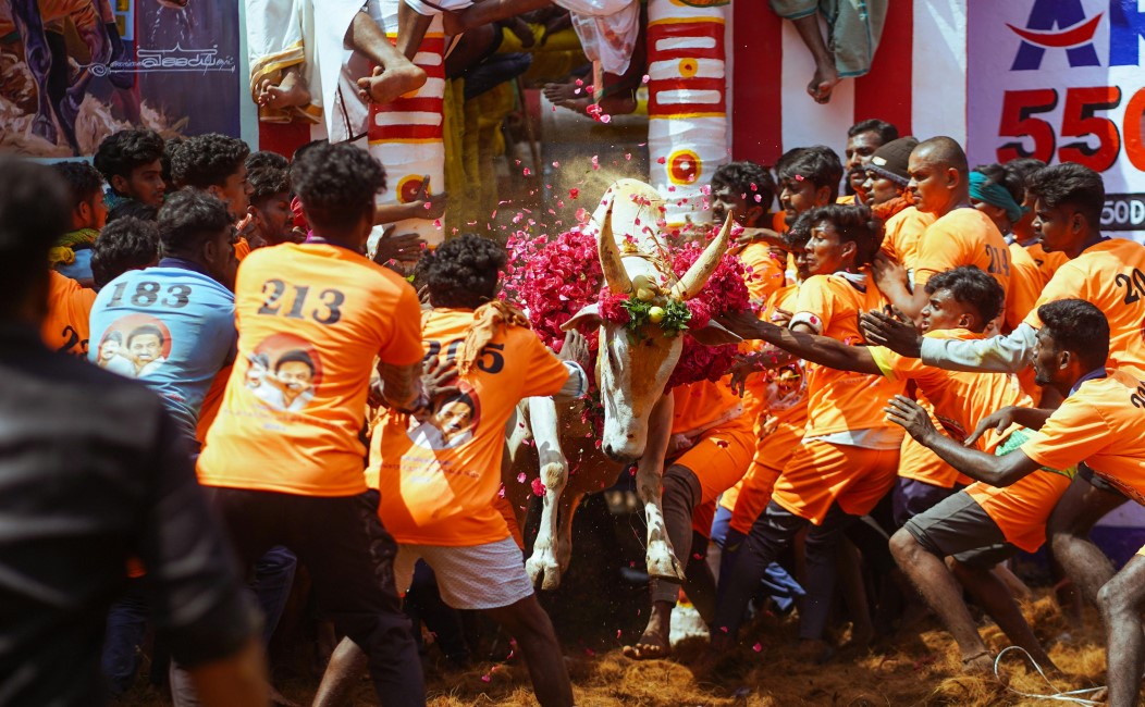 Must-have Experiences in Madurai