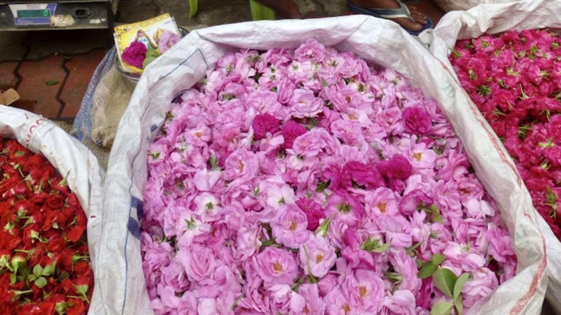 Romantic Spots in Madurai