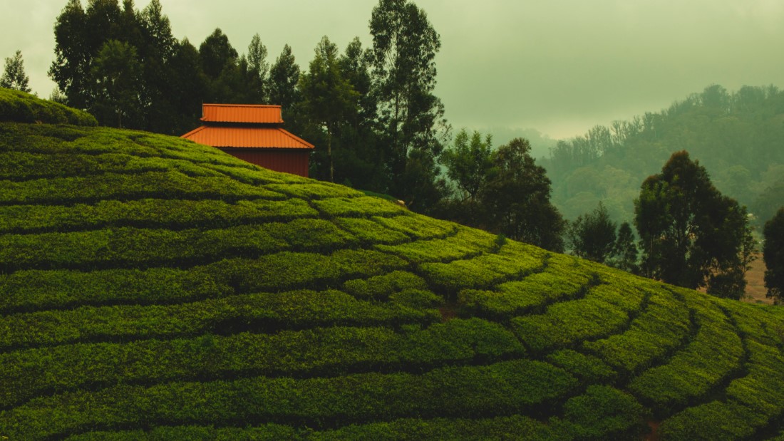 Must try Local Foods and Restaurants in Ooty