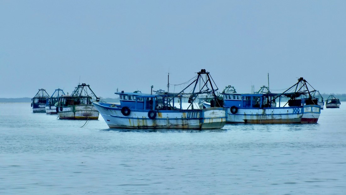 Local Markets & Street Food Spots in Rameshwaram