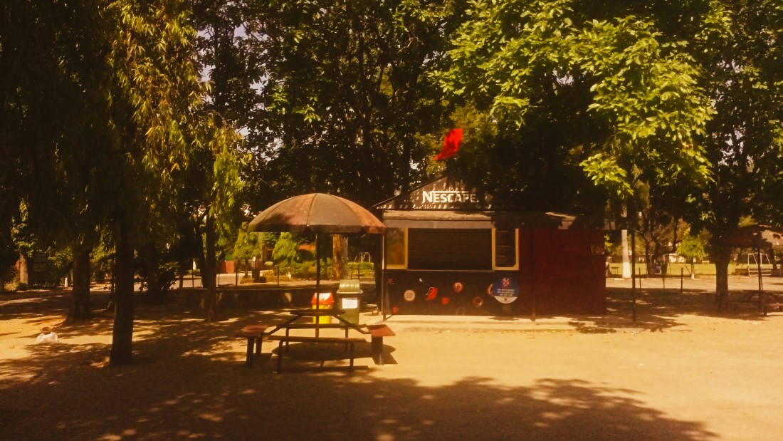 Local Markets & Street Food Spots in Chandigarh