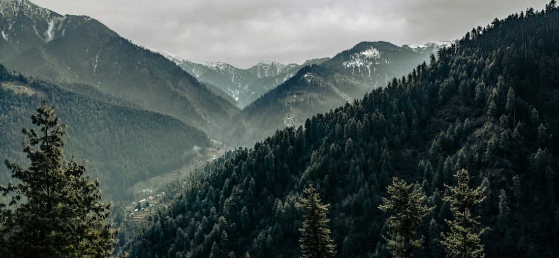 Must-have Experiences in Jibhi