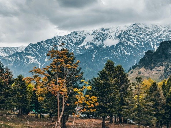 Most Popular Attractions in Kullu