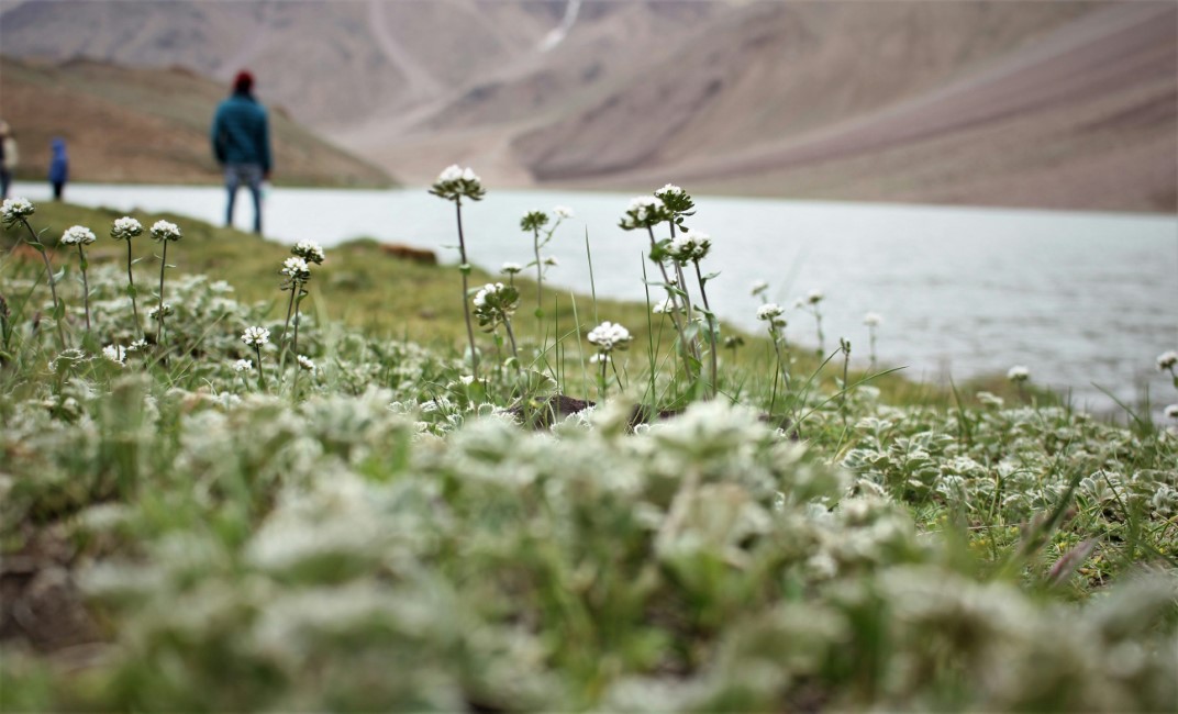 Romantic Spots in Lahaul
