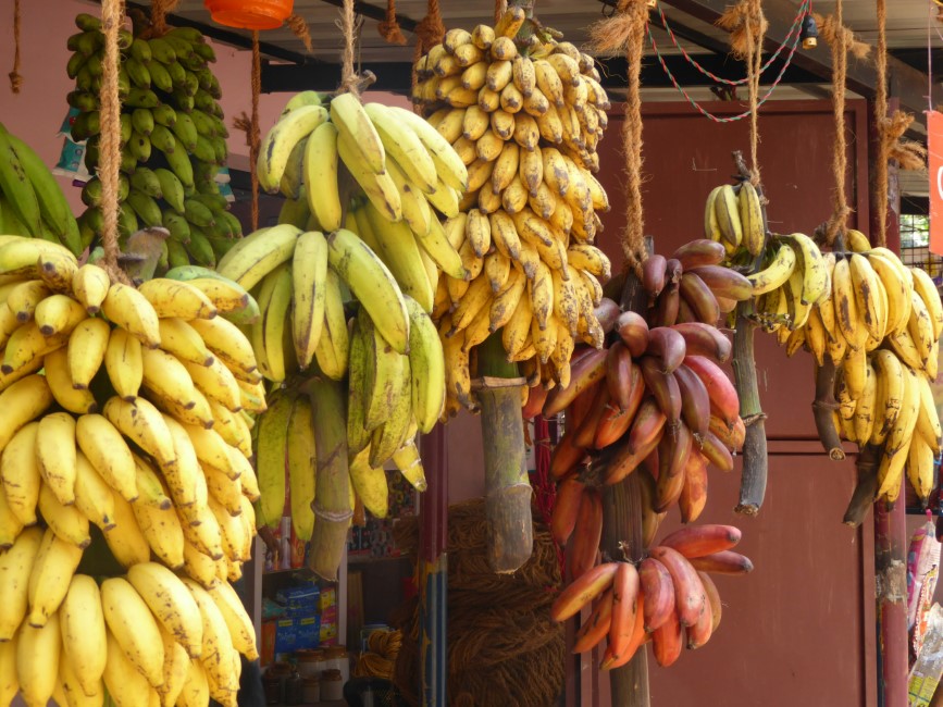 Must try Local Foods and Restaurants in Kovalam