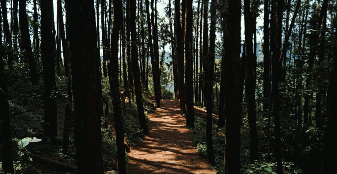 Spiritual Retreats in Vagamon