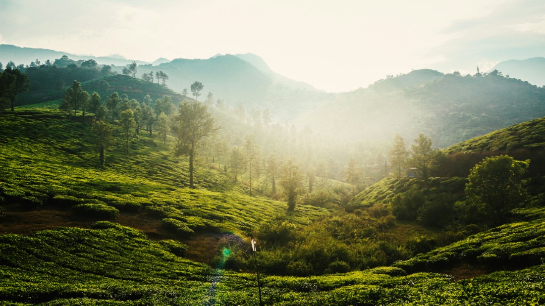 Most Popular Attractions in Wayanad