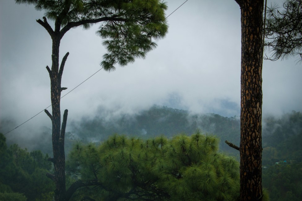Spiritual Retreats in Kausani