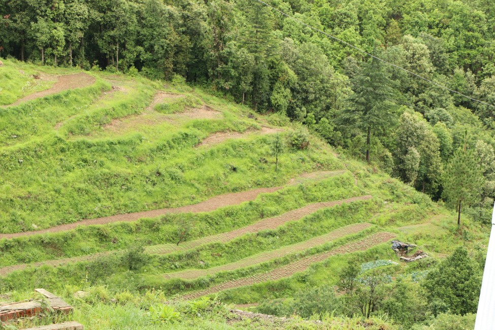 Adventure Activities in Ranikhet