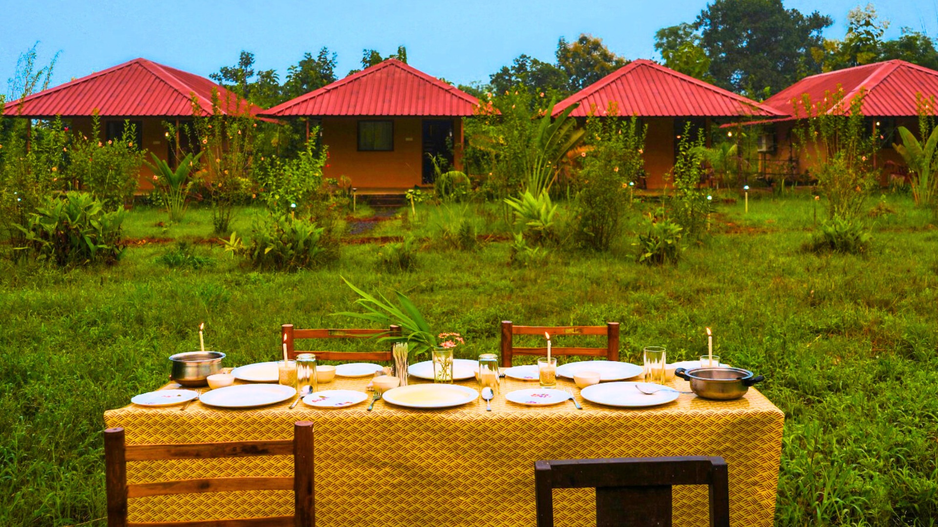 Tadoba Safari Stay Nature's Sprout