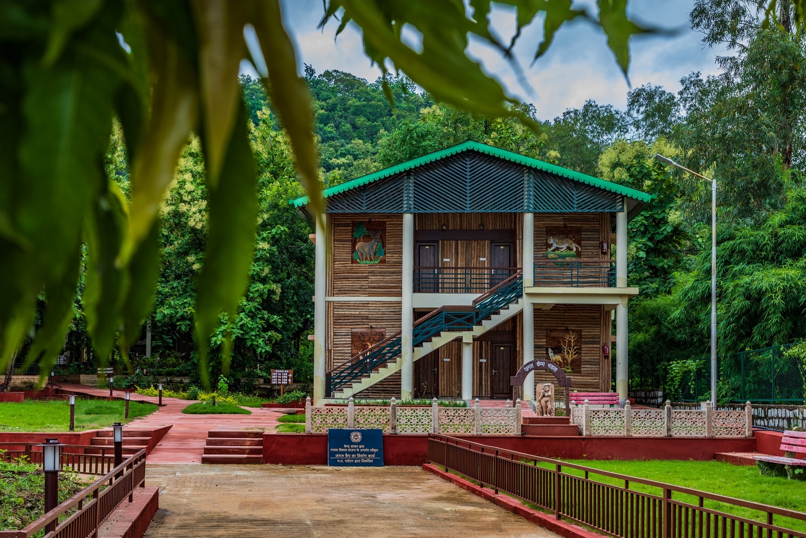 MPT Jungle Camp