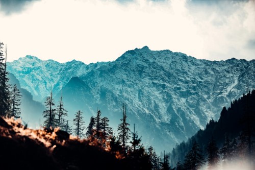 6 Days Himachal Tour (Shimla, Manali)