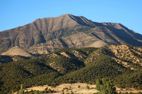 7 Days Jordan Tour (Amman, Petra, Wadi Rum, Dead Sea)