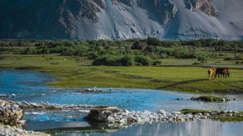 7 Days Ladakh Tour (Leh, Nubra Valley, Pangong Lake)