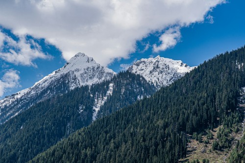 5 Days Glimpses of Kashmir
