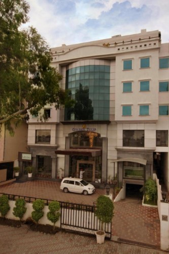 Golden Tulip