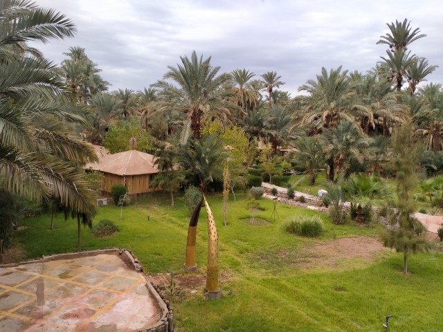 Riad Lamane